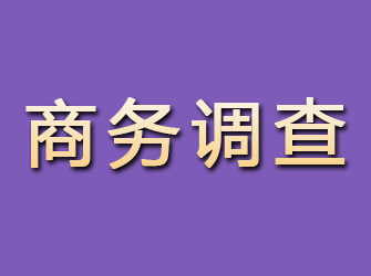 河间商务调查