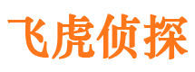 河间市侦探调查公司